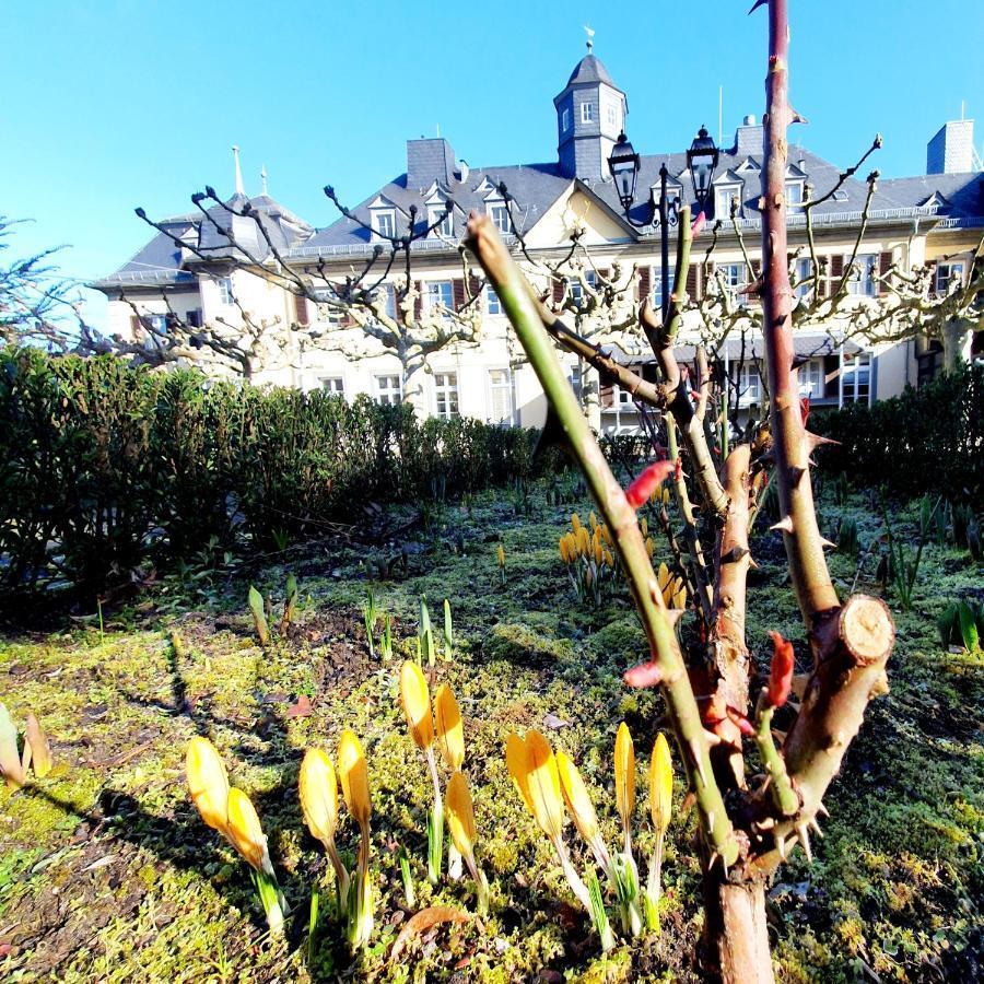 Jagdschloss Hotel Niederwald 로데스하임암라인 외부 사진